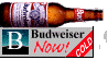 BUD NOW!